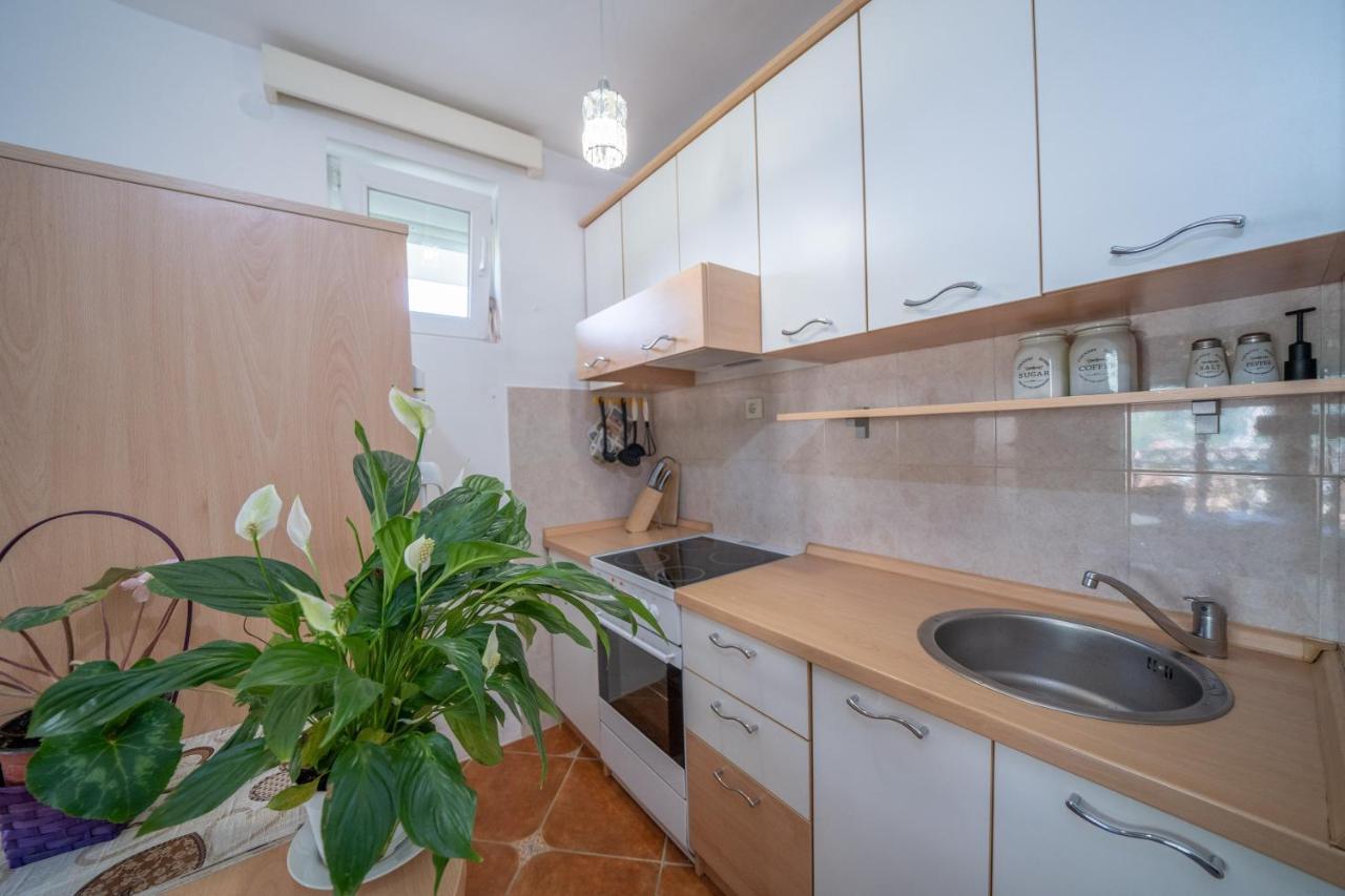 Sunshine Apartment Kotor Ngoại thất bức ảnh